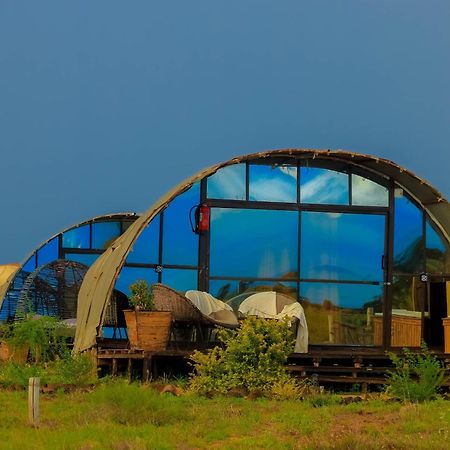 Amanya 2-Rooms Lioness Family Amboseli Esterno foto