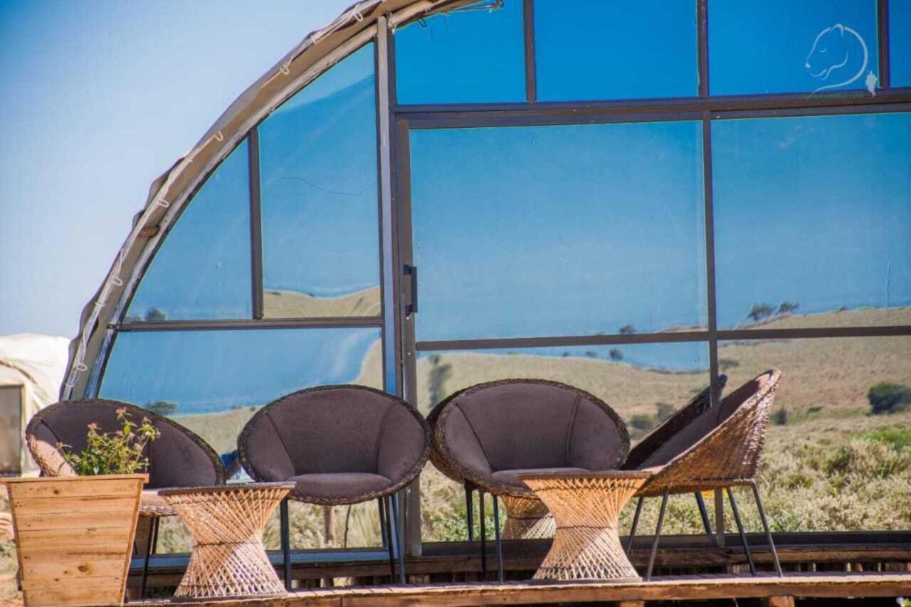 Amanya 2-Rooms Lioness Family Amboseli Esterno foto