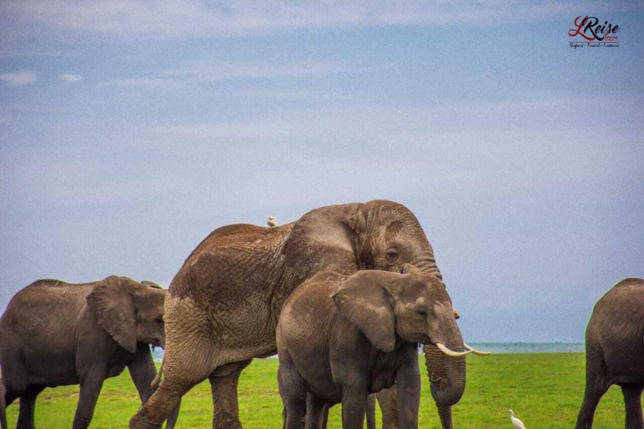Amanya 2-Rooms Lioness Family Amboseli Esterno foto