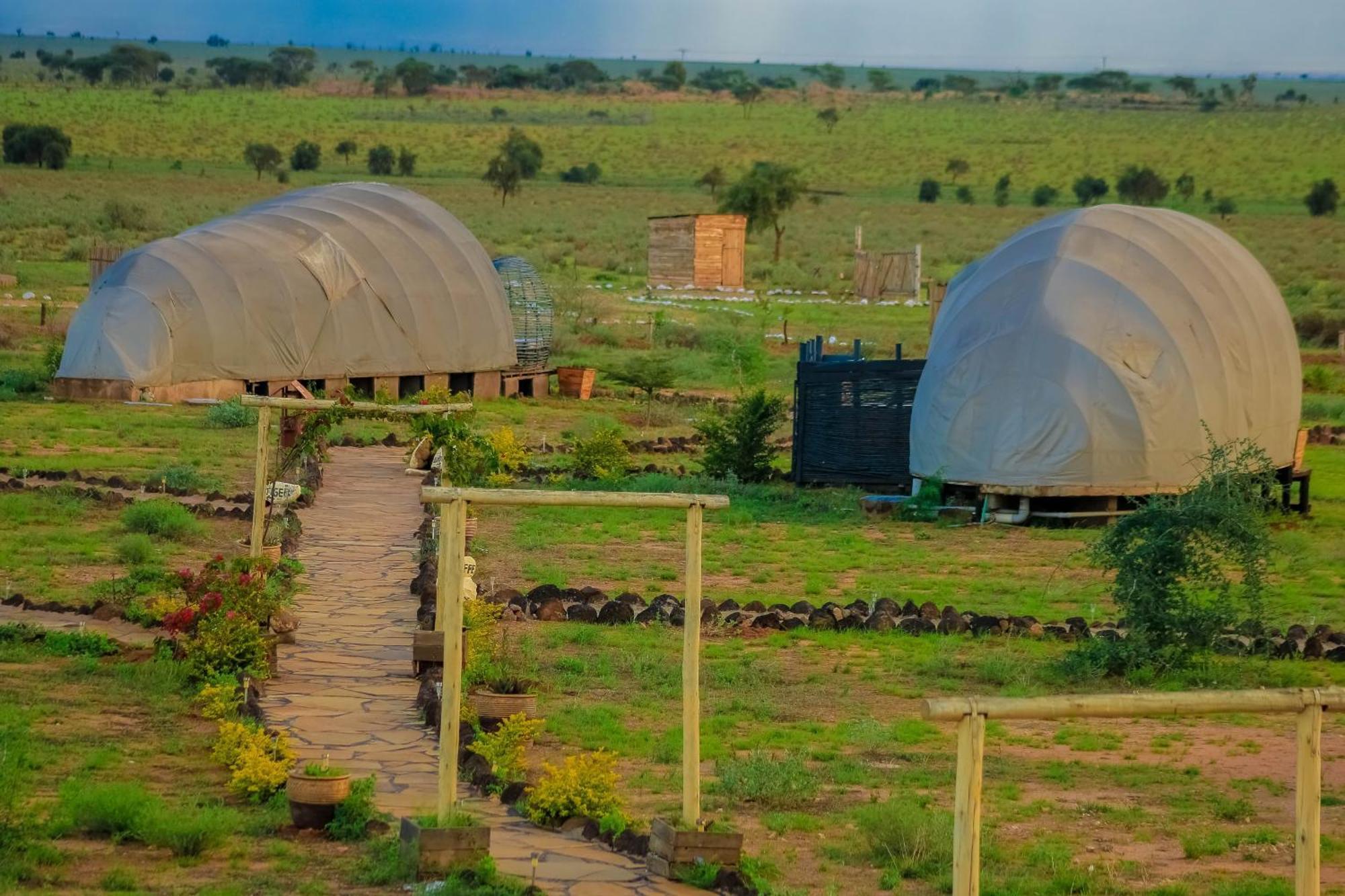 Amanya 2-Rooms Lioness Family Amboseli Esterno foto